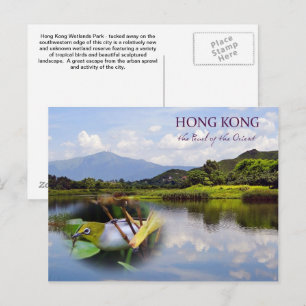 Hong Kong Wetlands Park Travel Post Card Postkarte