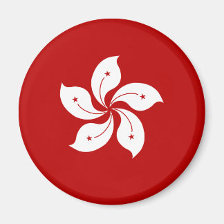 Hongkong Hochwertige Flagge Magnet