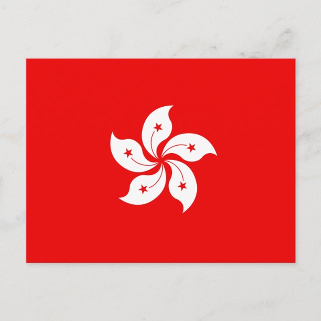 Hongkong White Orchid Symbol auf Rot Postkarte (Vorderseite)