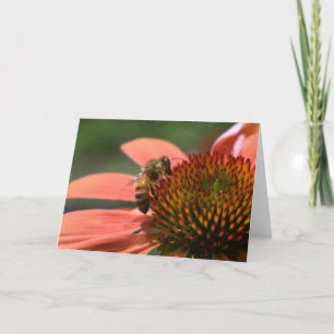 Honig-Biene auf Coneflower Gruß-Karte Karte
