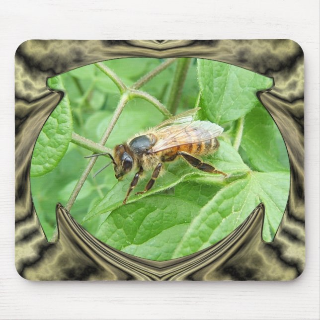 Honig-Biene ~ Mousepad (Vorne)