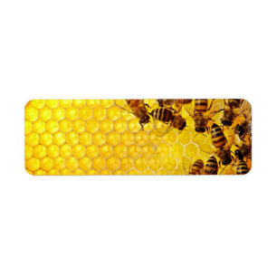 Honig-Bienen-Honig-Verkäufer-ImkerApiarist