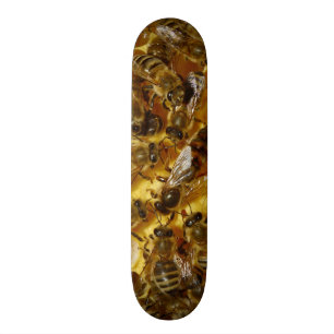 Honig-Bienen im Bienenstock mit Königin in der Skateboard