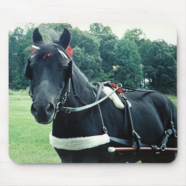 Honig - ein ganz besonderer Pony Mousepad (Vorne)