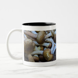 Honig-Pilze, Apiata, Armillaria, opyenok Zweifarbige Tasse