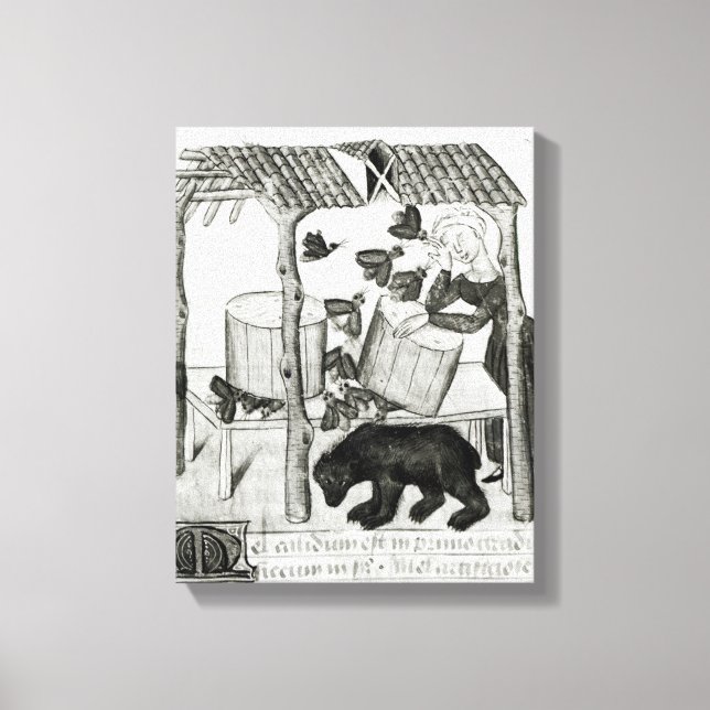 Honig sammeln leinwanddruck (Vorderseite)