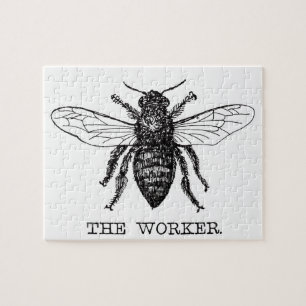 Honig Schwarze Hummel Arbeiterbiene