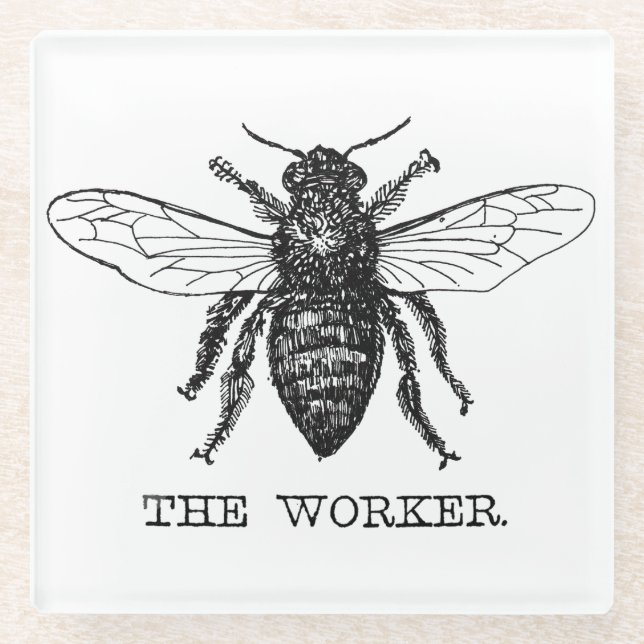 Honig Schwarze Hummel Arbeiterbiene Glasuntersetzer (Vorderseite)