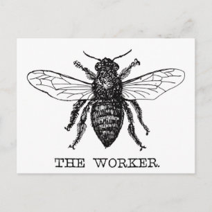 Honig Schwarze Hummel Arbeiterbiene Postkarte