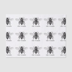 Honig Schwarze Hummel Arbeiterbiene Seidenpapier