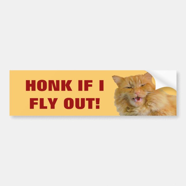 Honig, wenn eine Katze ausfliegt Autoaufkleber (Vorne)