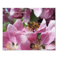 Honigbiene auf Crabapple Blossom mit Zitat