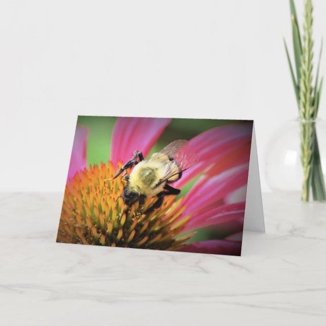 Honigbiene auf der Blume, Karte (Vorderseite)