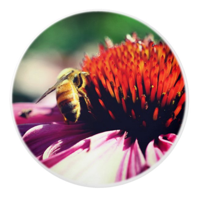 Honigbiene auf der Blume Nah Keramikknauf (Vorderseite)