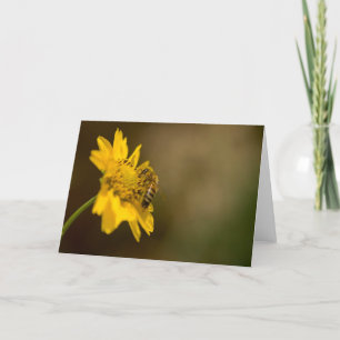 Honigbiene auf der Gelben Blume Karte