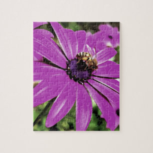 Honigbiene auf einer Lila afrikanischen Daisy Art