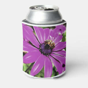 Honigbiene auf einer Lila afrikanischen Daisy Art Dosenkühler