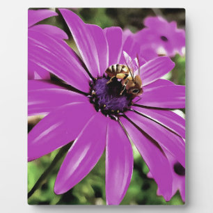 Honigbiene auf einer Lila afrikanischen Daisy Art Fotoplatte