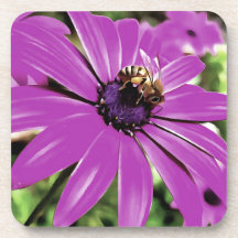 Honigbiene auf einer Lila afrikanischen Daisy Art