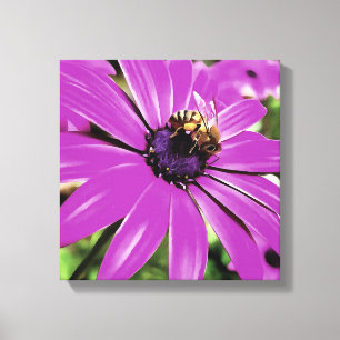 Honigbiene auf einer Lila afrikanischen Daisy Art Leinwanddruck