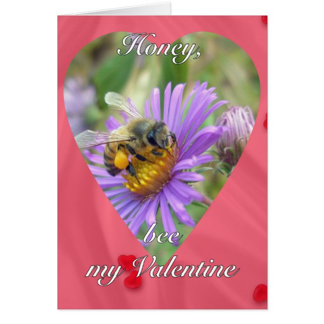 Honigbiene auf Fall Asters Valentine (Vorne)
