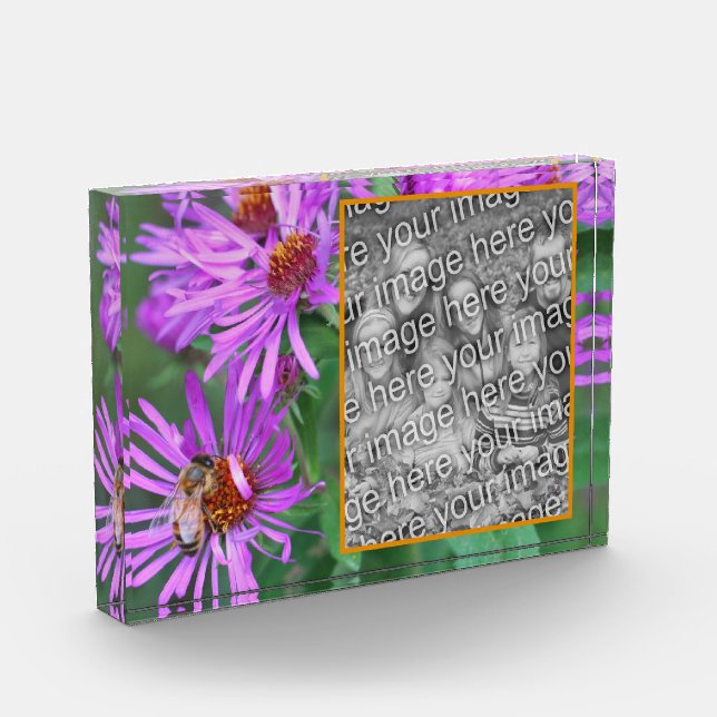 Honigbiene auf rosa Aster Blume hinzufügen Fotoblock (Links)