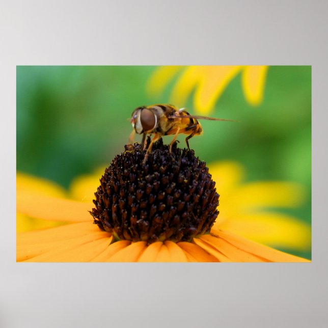 Honigbiene im Zentrum der Dinge Poster (Vorne)