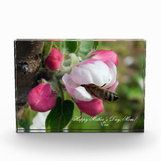 Honigbiene in rosa Apfelblüte | Custom PhotoBlock Fotoblock