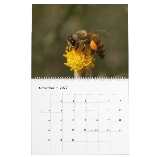Honigbiene Kalender (Nov 2027)