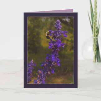 Honigbiene & Lavendel  Karte