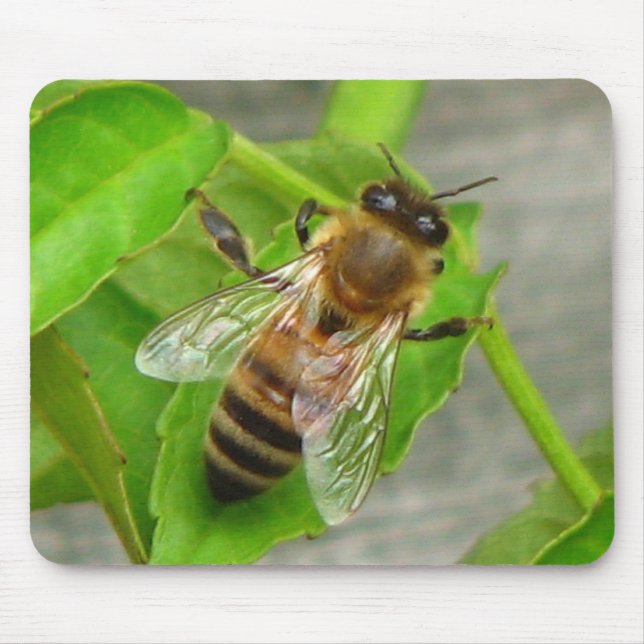 Honigbiene Mousepad (Vorne)