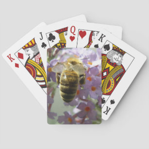 Honigbiene und Buddleia-Blume Kartenspielen Spielkarten