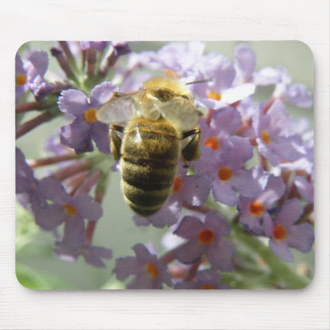 Honigbiene und Buddleia-Blume Mousepad (Vorne)