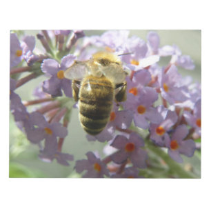 Honigbiene und Buddleia-Blume Notepad Notizblock