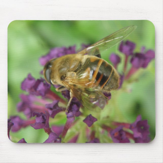 Honigbiene und Purple Flowers Mousepad (Vorne)