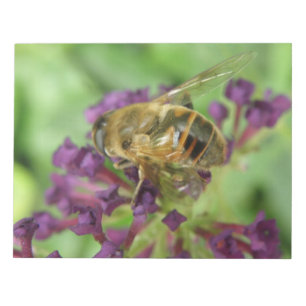 Honigbiene und violette Blumen Notepad Notizblock