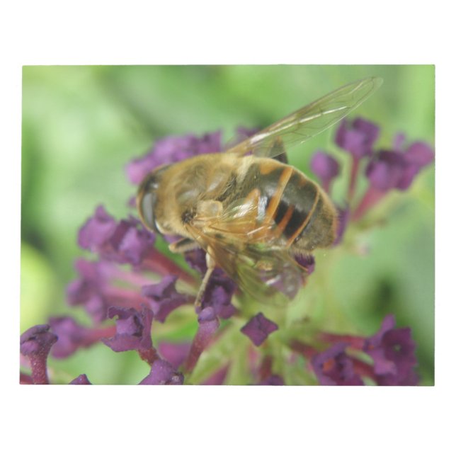Honigbiene und violette Blumen Notepad Notizblock (Vorderseite)