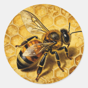 Honigbiene Wabe Golden Natur Runder Aufkleber