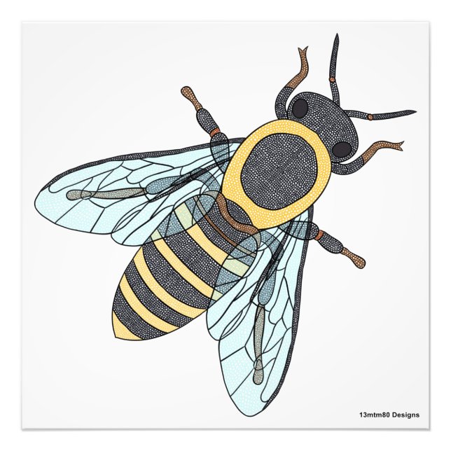 Honigbiene (weiß) - Foto Print (Vorne)