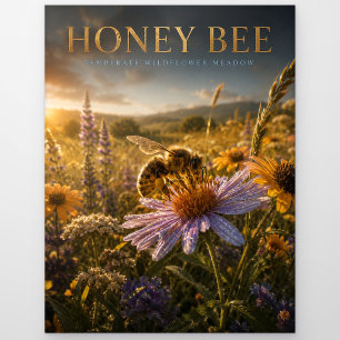Honigbiene Wildblumenwiese TIER Postkarte