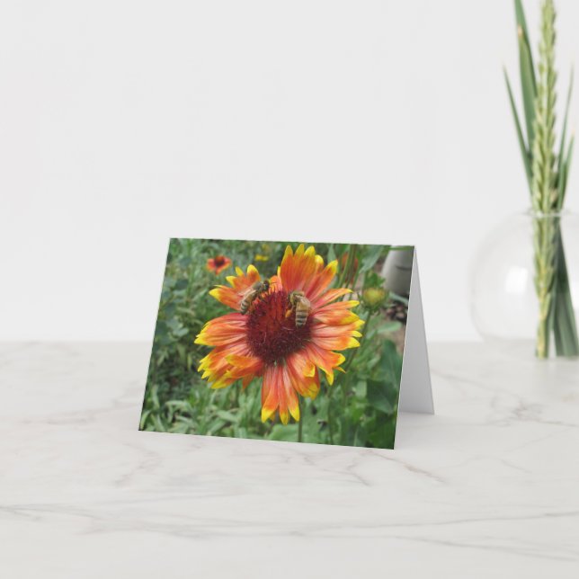 Honigbienen auf Blanket-Blume Karte (Vorderseite)