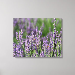 Honigbienen auf Lavendel-Blume Leinwanddruck