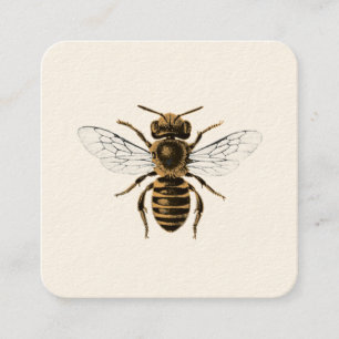 Honigbienen-Bienenhaus Quadratische Visitenkarte