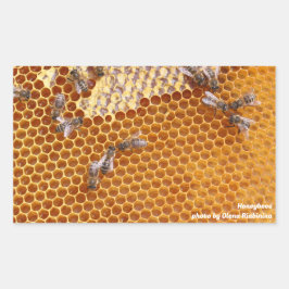 Honigbienen in einem Bienenstock Rechteckiger Aufkleber