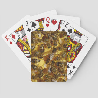 Honigbienen in Hive mit Königin in der Mitte Spielkarten