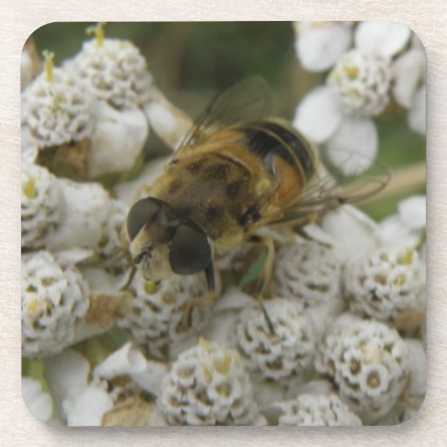 Honigbienen und Blume Cork Untersetzer (Vorderseite)