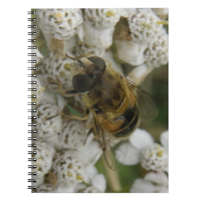 Honigbienen und Blume-Notebook Notizblock (Vorderseite)