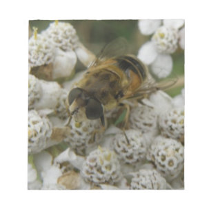 Honigbienen und Blume Notepad Notizblock