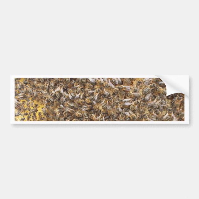 Honigbienen und mehr Honigbienen Autoaufkleber (Vorne)