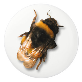 Honigbienengriff Keramikknauf